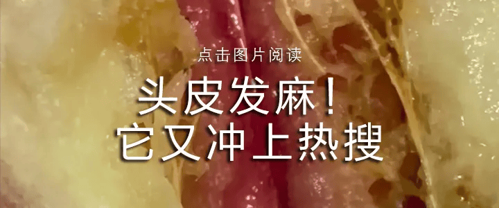皇冠信用網占成代理
_疯传“广东一学校闲置多年皇冠信用網占成代理
,即将开学”,最新消息!