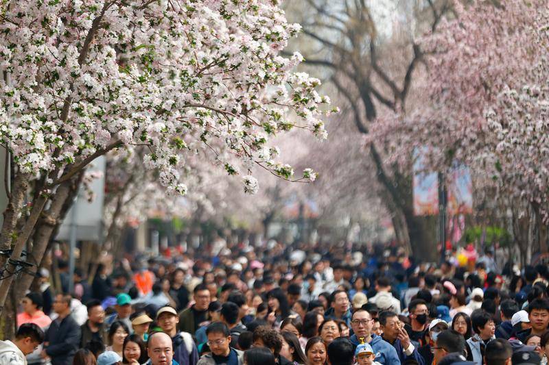 皇冠信用網会员_清明假期山岳类景区热度大涨皇冠信用網会员，哪里“堵山”了？