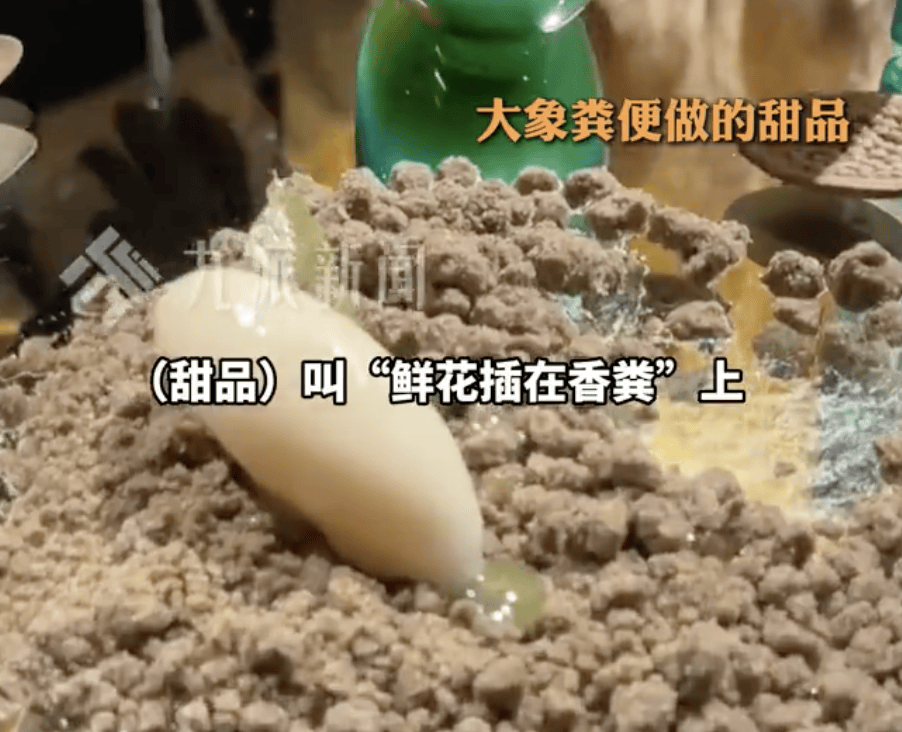 中北美洲及加勒比海冠军賽_上海一人均近4千餐厅让食客啃树叶、品尝大象粪便中北美洲及加勒比海冠军賽！员工：创始人研究了7年