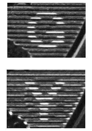如何注册皇冠足球代理
_中国人民银行定于4月15日起陆续发行海南热带雨林国家公园纪念币