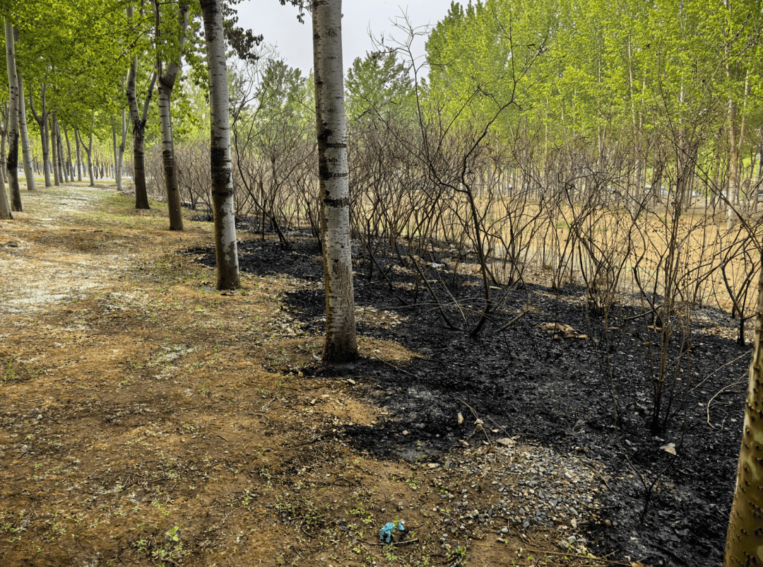 如何申请皇冠代理_手太欠！北京警方：林某某（18岁）如何申请皇冠代理，拘
