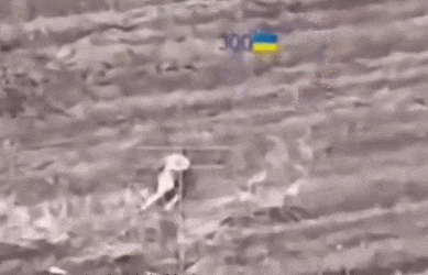 皇冠信用网登3代理_数十名俄军吞枪自杀皇冠信用网登3代理，多名女兵被炸死！用枪爆头会有痛苦吗？