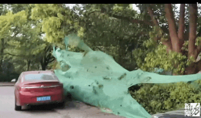 hga035会员注册_存在8年无法去除hga035会员注册！沪一小区居民犯愁：阵阵恶臭……怎么办？