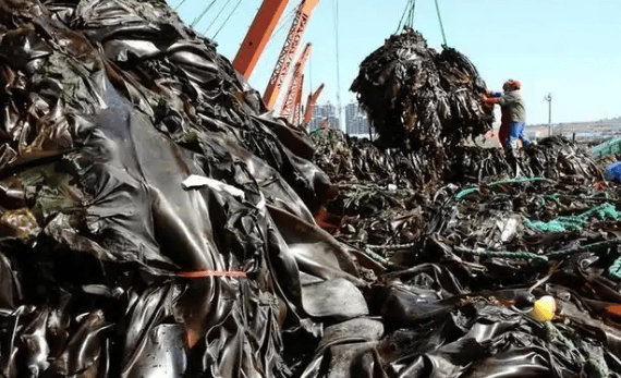 正规的足球平台_特朗普没想到：中方停止进口后正规的足球平台，美国竟登顶全球第一，数量超中国两倍