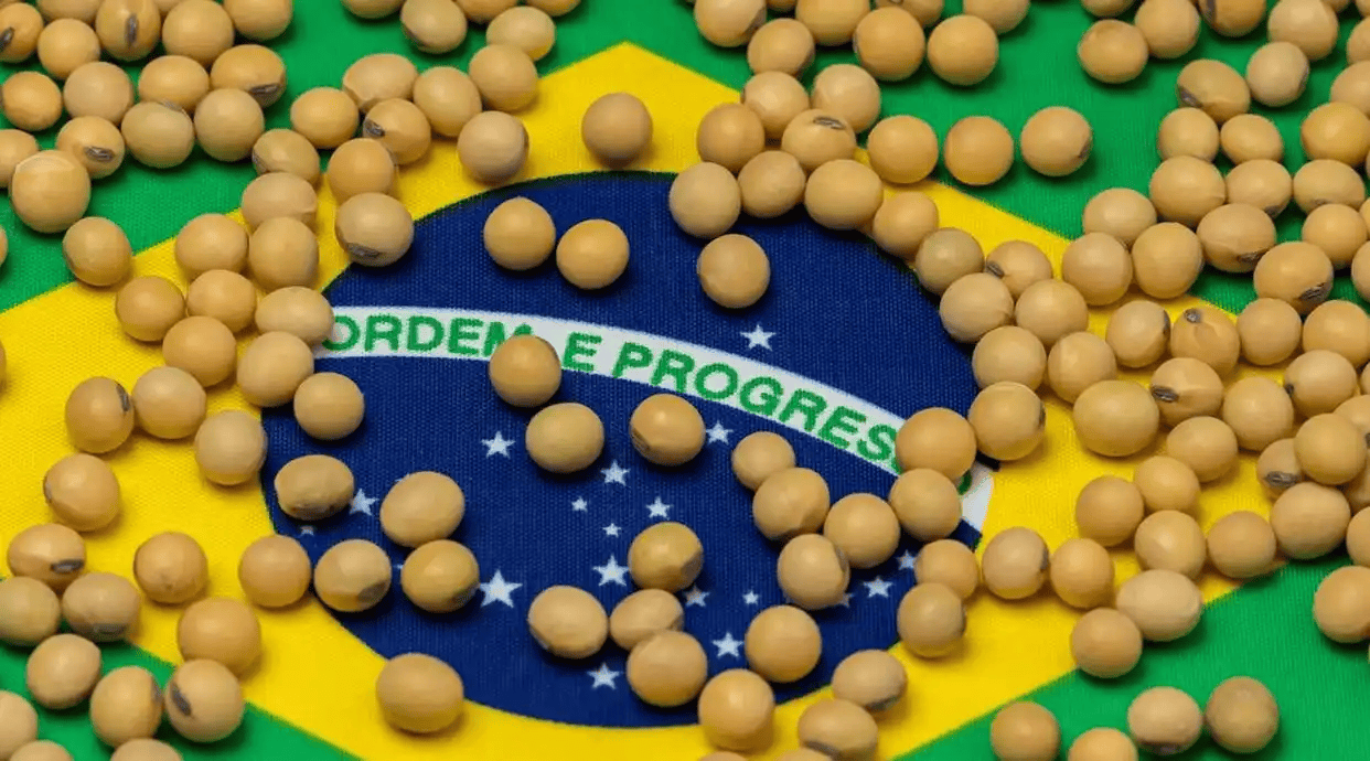 皇冠信用盘开户_240万吨大豆抵达中国港口！特朗普没料到皇冠信用盘开户，中国竟然真不怕脱钩