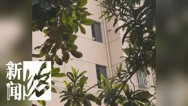 皇冠信用盘代理
_被折磨到崩溃!上海一九旬老太每天定时“输出”皇冠信用盘代理
,邻居被迫“魔法打魔法”