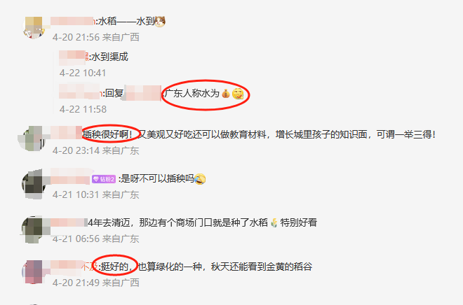 皇冠信用登2代理网址
_谁种的?东莞闹市区绿化带惊现水稻皇冠信用登2代理网址
,网友化身福尔摩斯来探案,家居广场:商户提的建议