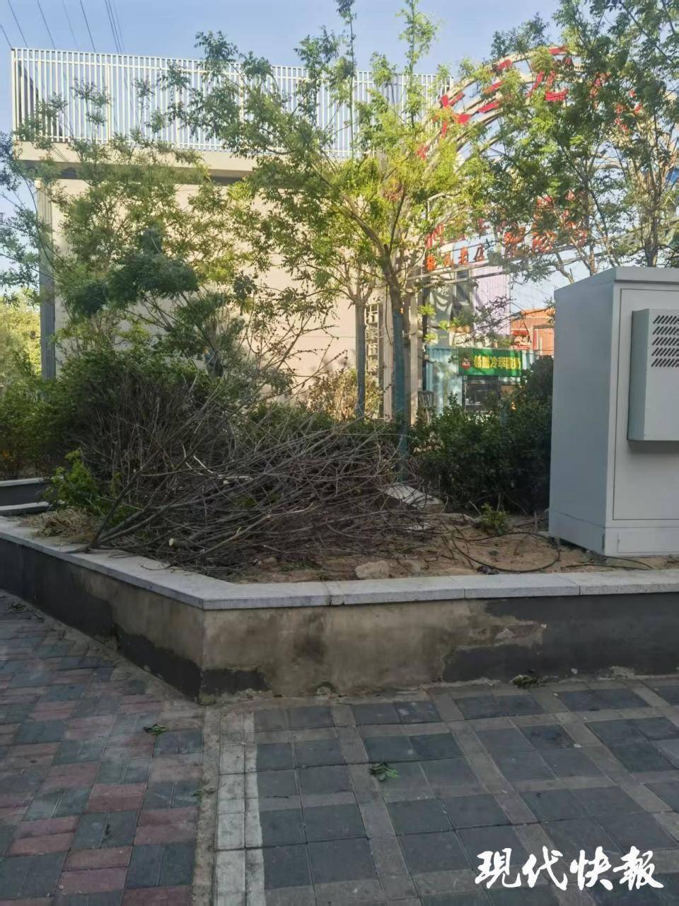 皇冠信用盘在哪里开通_石家庄被家暴女子驾车逃跑致丈夫身亡皇冠信用盘在哪里开通，一审以故意杀人罪获刑11年