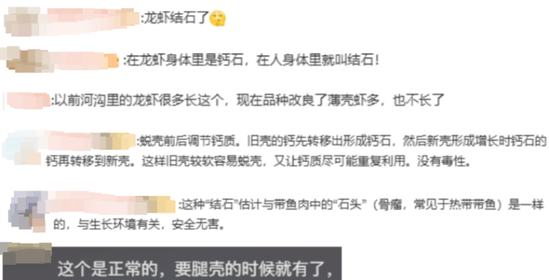 皇冠信用网代理流程_女子吃小龙虾竟剥出多颗珠子皇冠信用网代理流程，网友：这是长结石了吧丨有话聊