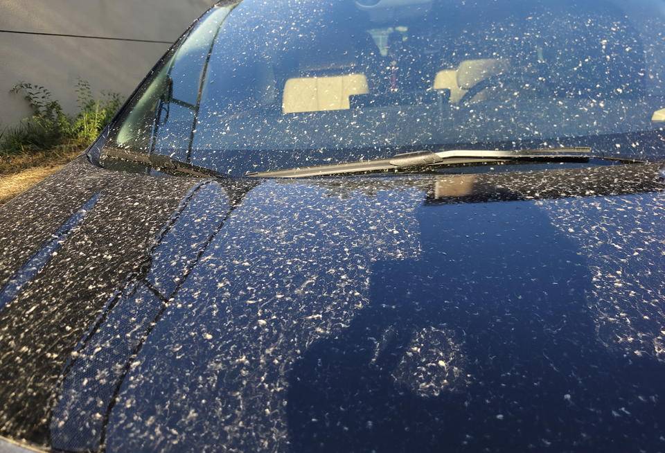 皇冠登一登二登三区别
_昨晚这场暴风骤雨皇冠登一登二登三区别
,让济南很多车辆变成“大花脸”