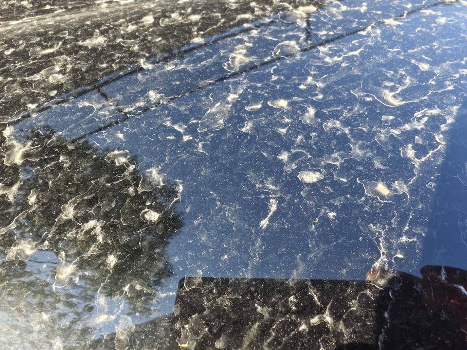 皇冠登一登二登三区别
_昨晚这场暴风骤雨皇冠登一登二登三区别
,让济南很多车辆变成“大花脸”