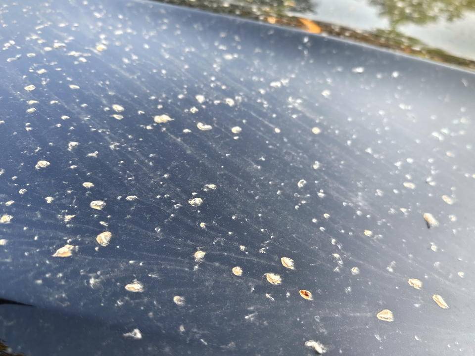 皇冠登一登二登三区别
_昨晚这场暴风骤雨皇冠登一登二登三区别
,让济南很多车辆变成“大花脸”