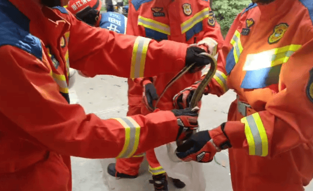 皇冠信用盘代理流程_低头一看皇冠信用盘代理流程，杭州小伙“魂都吓飞了”！正处于活跃期，消防重要提醒