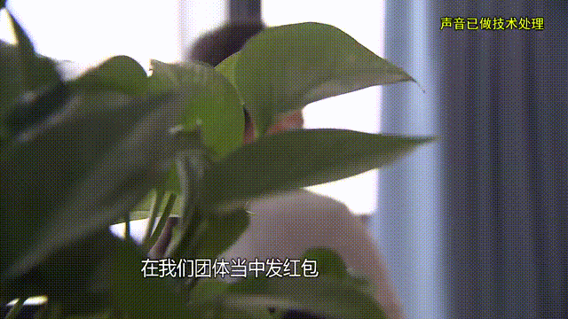 皇冠信用出租_37岁痴情女子倾尽百万泡面果腹仍坚持转账：帮皇冠信用出租他有种使命感