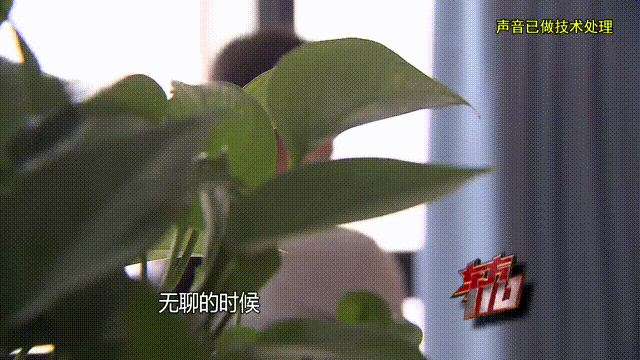 皇冠信用出租_37岁痴情女子倾尽百万泡面果腹仍坚持转账：帮皇冠信用出租他有种使命感