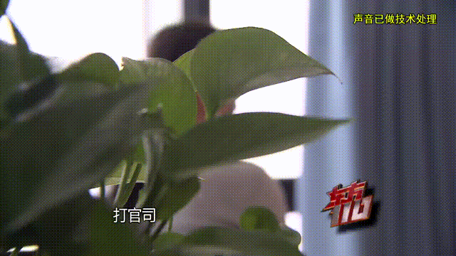 皇冠信用出租_37岁痴情女子倾尽百万泡面果腹仍坚持转账：帮皇冠信用出租他有种使命感