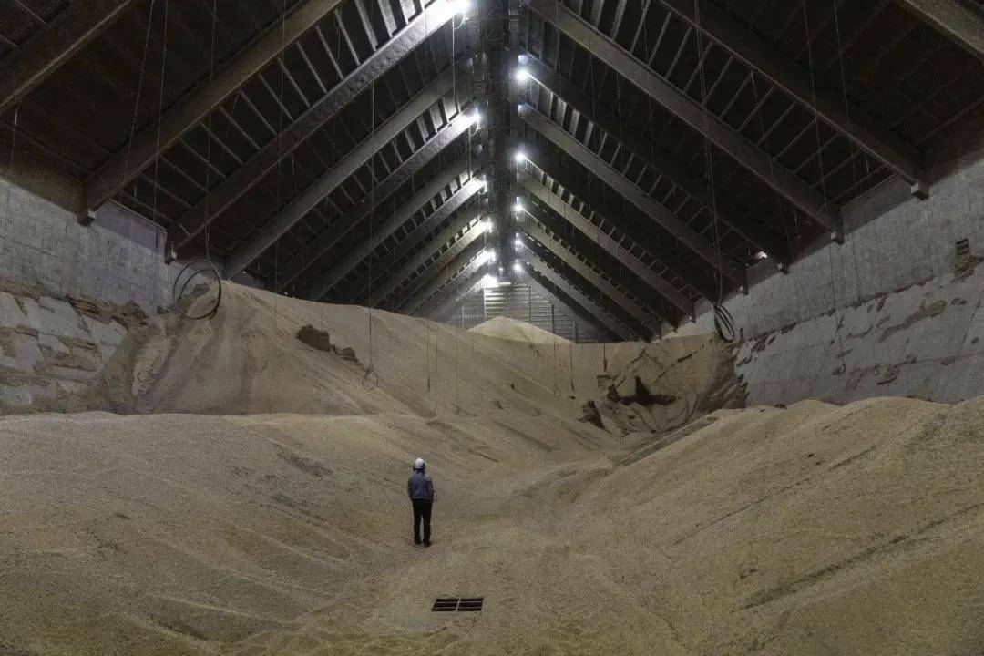 皇冠信用登2代理
_“中国罕见提出大规模采购意向”