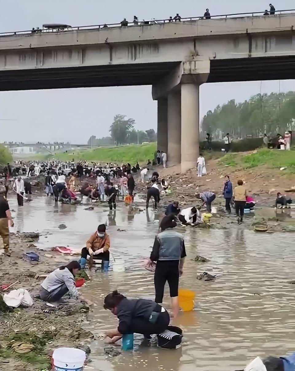 皇冠信用网代理流程_河南浚县一处河道内众人捞金？当地辟谣：捞的是花甲皇冠信用网代理流程，已劝离捕捞客