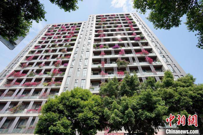 皇冠公司的代理怎么拿
_成都一栋30层高居民楼被三角梅扮靓