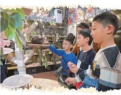 皇冠信用網代理怎么申请_人民日报：吉林长春市红旗街——老商街“圈粉”年轻人