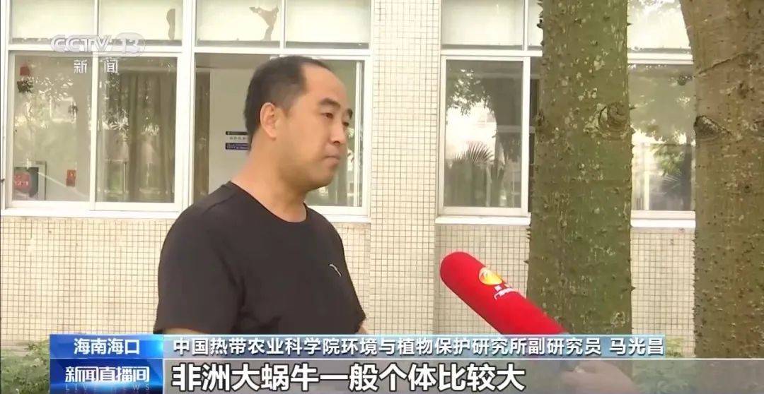 皇冠信用網代理_别碰！别吃！别养！一只就携带100条虫皇冠信用網代理，看到赶紧远离