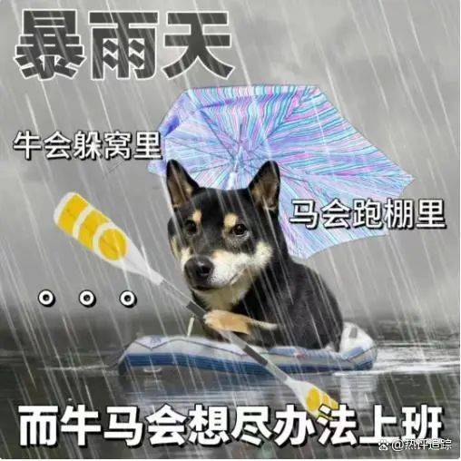 皇冠信用网怎么开户
_暴雨!大暴雨!深圳开启“集中倒水”模式皇冠信用网怎么开户
,广东或有5波……