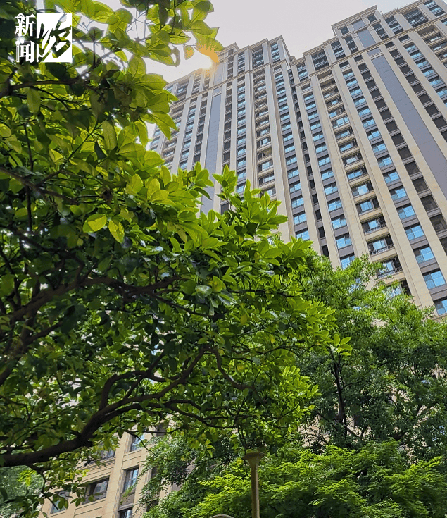 皇冠信用网出租
_垃圾堆满皇冠信用网出租
,臭到离谱!上海顶流豪宅业主也拾荒?邻居直呼倒大霉,不能忍!