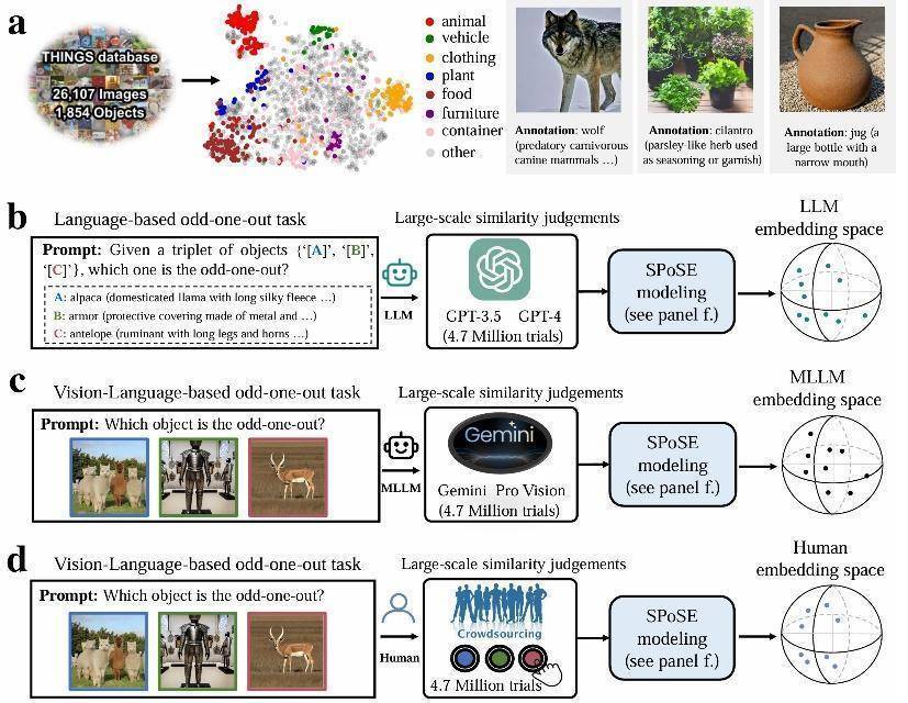世界杯足球_世界杯足球我国科学家首次证实大模型能像人类一样“理解”事物