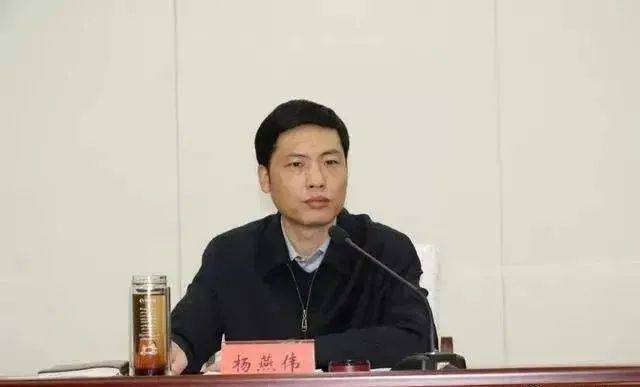 本菲卡vs奥克兰城_官宣本菲卡vs奥克兰城！厅长杨燕伟被查