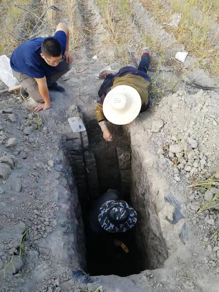 纽西兰国家篮球联赛_重大突破纽西兰国家篮球联赛！新疆发现近千公里“硒腰带”