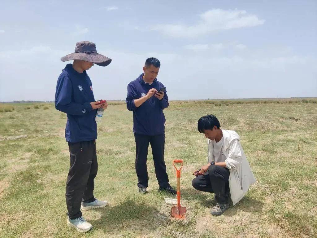 纽西兰国家篮球联赛_重大突破纽西兰国家篮球联赛！新疆发现近千公里“硒腰带”