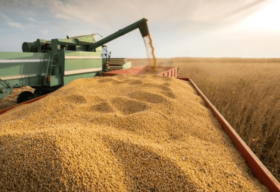 皇冠信用網_攻守易型了！中国又走了一步好棋皇冠信用網，出手签下3万吨大单，太罕见