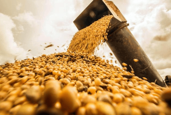 皇冠信用網_攻守易型了！中国又走了一步好棋皇冠信用網，出手签下3万吨大单，太罕见