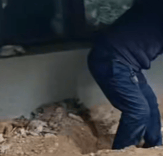 国际米兰vs富明尼斯RJ_河南长垣女子购买一楼房子在院子里挖出疑似人体骨头国际米兰vs富明尼斯RJ，警方介入！物业：多方协调中