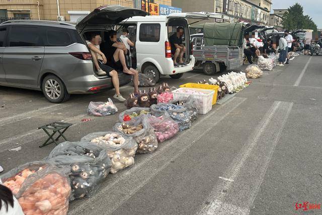 乌兹别克超级联赛_实探衡水盗版LABUBU大集：像卖菜一样摆摊卖乌兹别克超级联赛，商家称如今订单变少生意难做