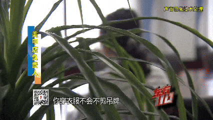 托特纳姆热刺VS伯恩利_00后女子上海旅游两个月花费0元托特纳姆热刺VS伯恩利，衣食住行赖账全靠“薅羊毛”，上海警方：已抓获！