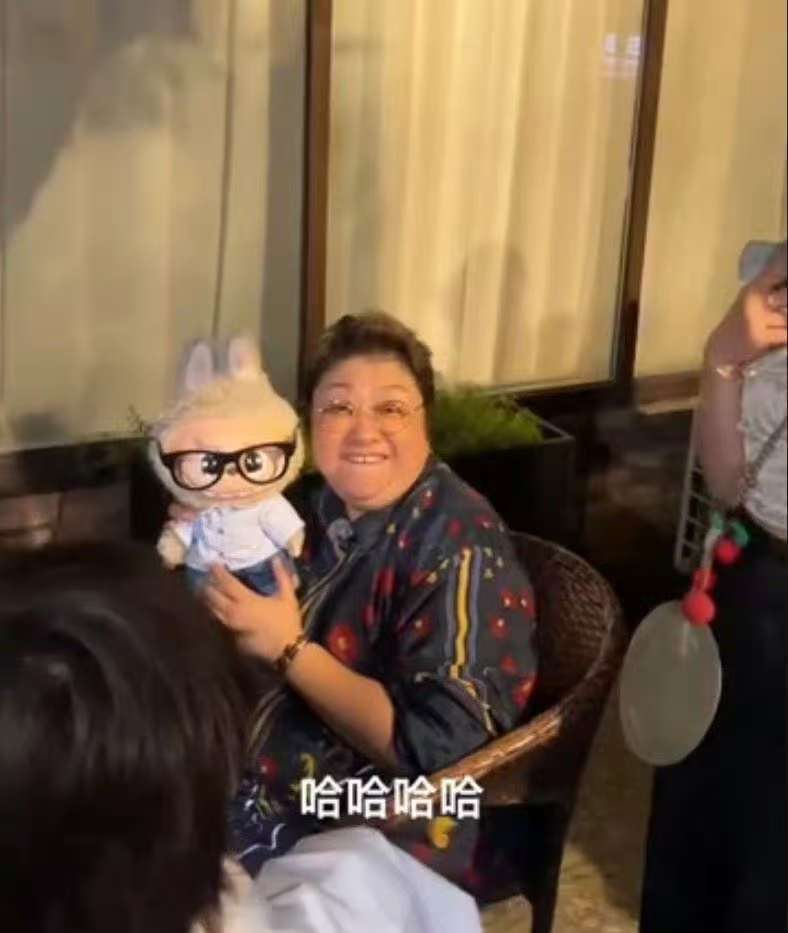 南安普敦VS雷克瑟姆_韩红撞脸Labubu玩偶南安普敦VS雷克瑟姆,本人认证:这太像了!