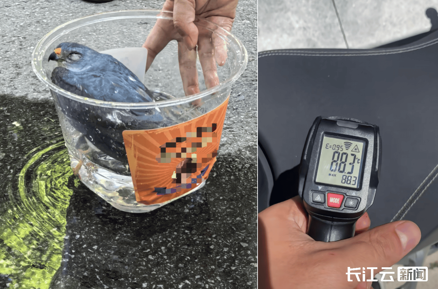 2025-2026意大利青年联赛赛程积分_最高39.5℃2025-2026意大利青年联赛赛程积分!湖北未入伏为何这么热?降雨就在……