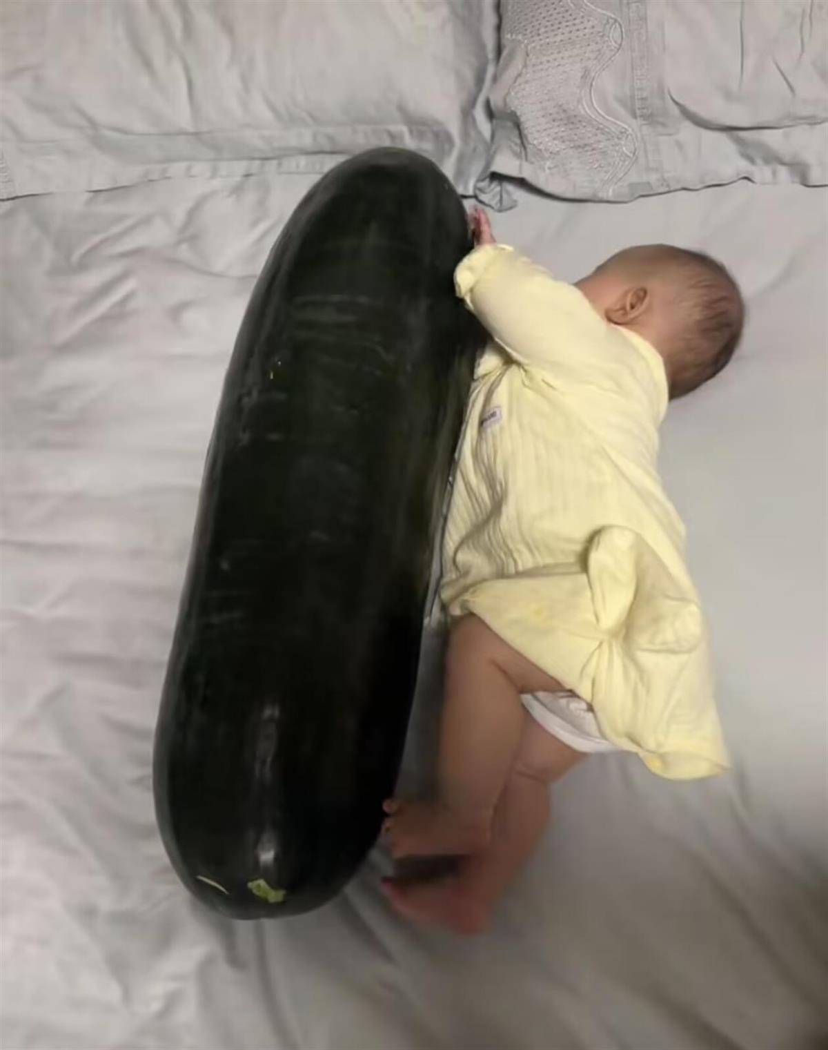 邓巴顿VS加迪_男子在深圳购买28斤重的冬瓜带回香港邓巴顿VS加迪，给3个月大的女儿当避暑玩具