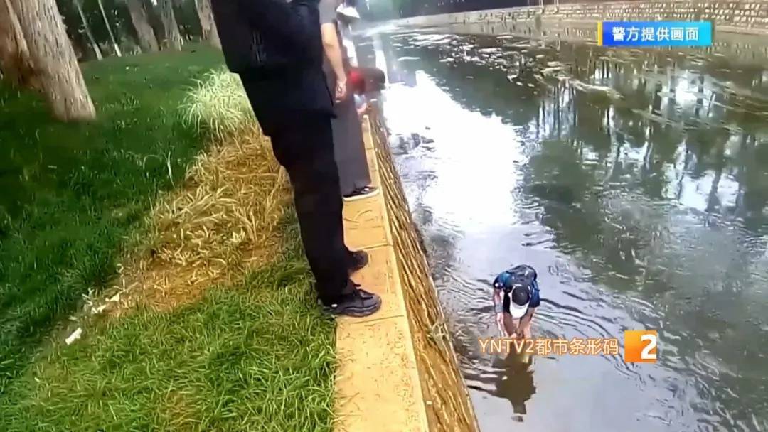 皇冠信用網会员账号_市民在盘龙江里发现“娃娃鱼”皇冠信用網会员账号？经确认却是……