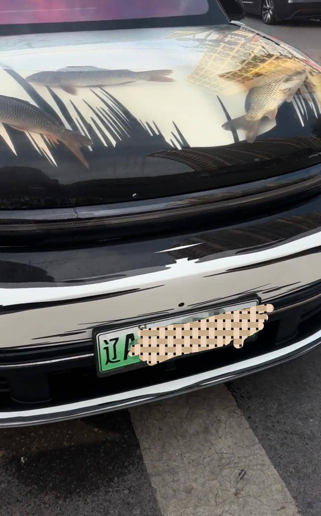 皇冠信用盘押金多少_沈阳一男子在机动车引擎盖贴车衣养鱼皇冠信用盘押金多少，交警：属非法改装，不能上路行驶