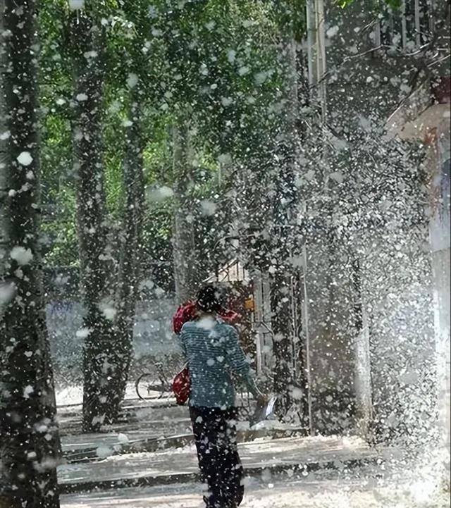 皇冠信用網出租_一发瘫痪一个城市！中国公布新型神秘炸弹皇冠信用網出租，是专门为谁准备的？