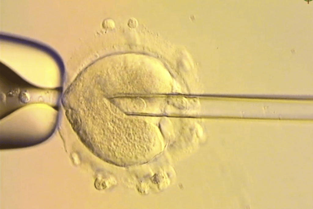 体育皇冠信用网_世界首创！英国成功结合3人基因诞生婴儿截断遗传病传播体育皇冠信用网，已有8名婴儿出生