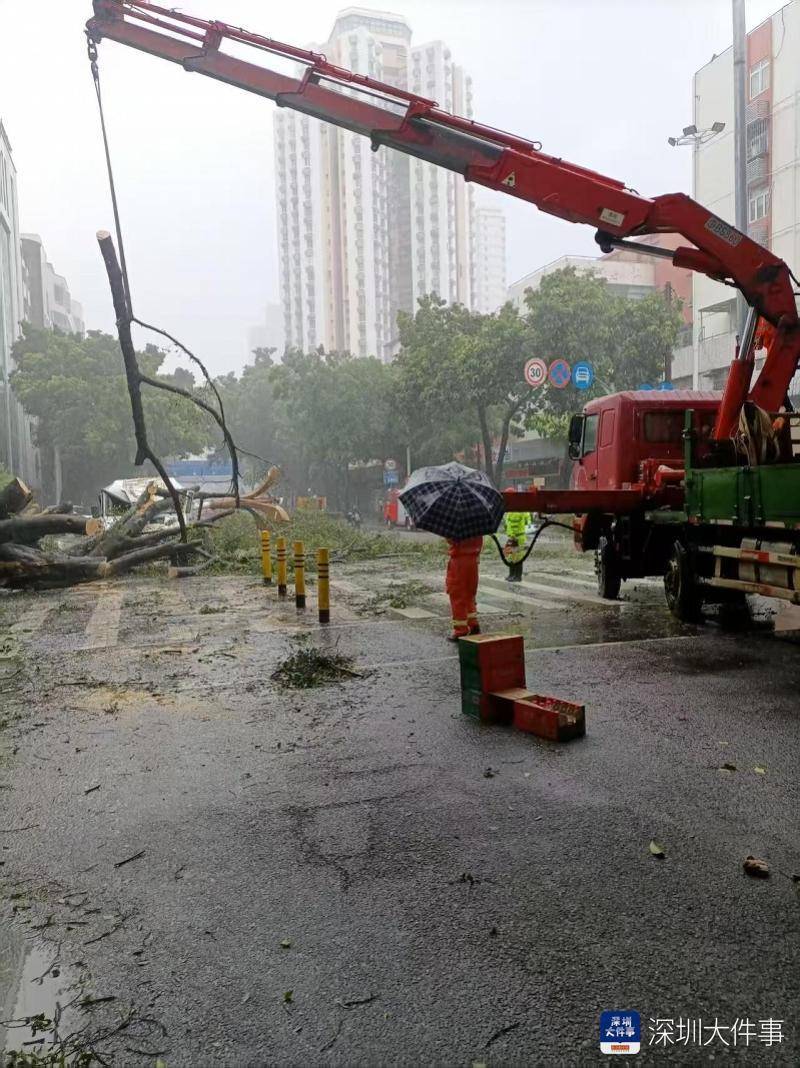 皇冠信用网会员开户_强风袭击皇冠信用网会员开户，深圳已出现树木倒伏！有行人被砸伤，非必要不出门