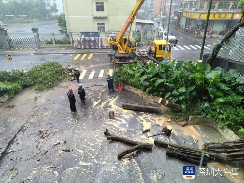 皇冠信用网会员开户_强风袭击皇冠信用网会员开户，深圳已出现树木倒伏！有行人被砸伤，非必要不出门