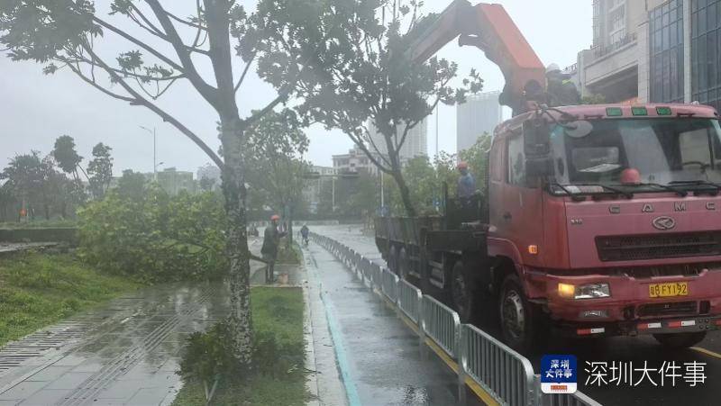 皇冠信用网会员开户_强风袭击皇冠信用网会员开户，深圳已出现树木倒伏！有行人被砸伤，非必要不出门
