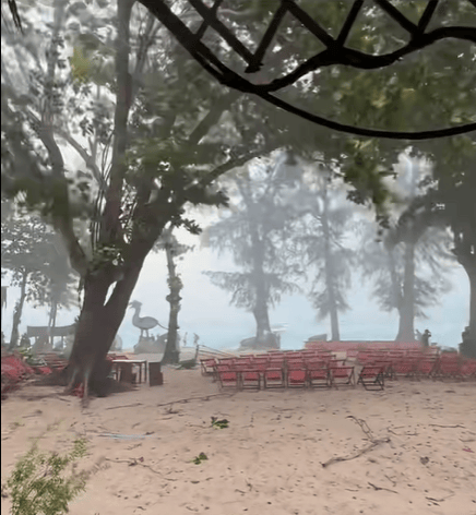 皇冠信用网会员注册_中国女游客被砸身亡！女儿崩溃：原定明天回国皇冠信用网会员注册，刚退休的年纪，意外先到了！