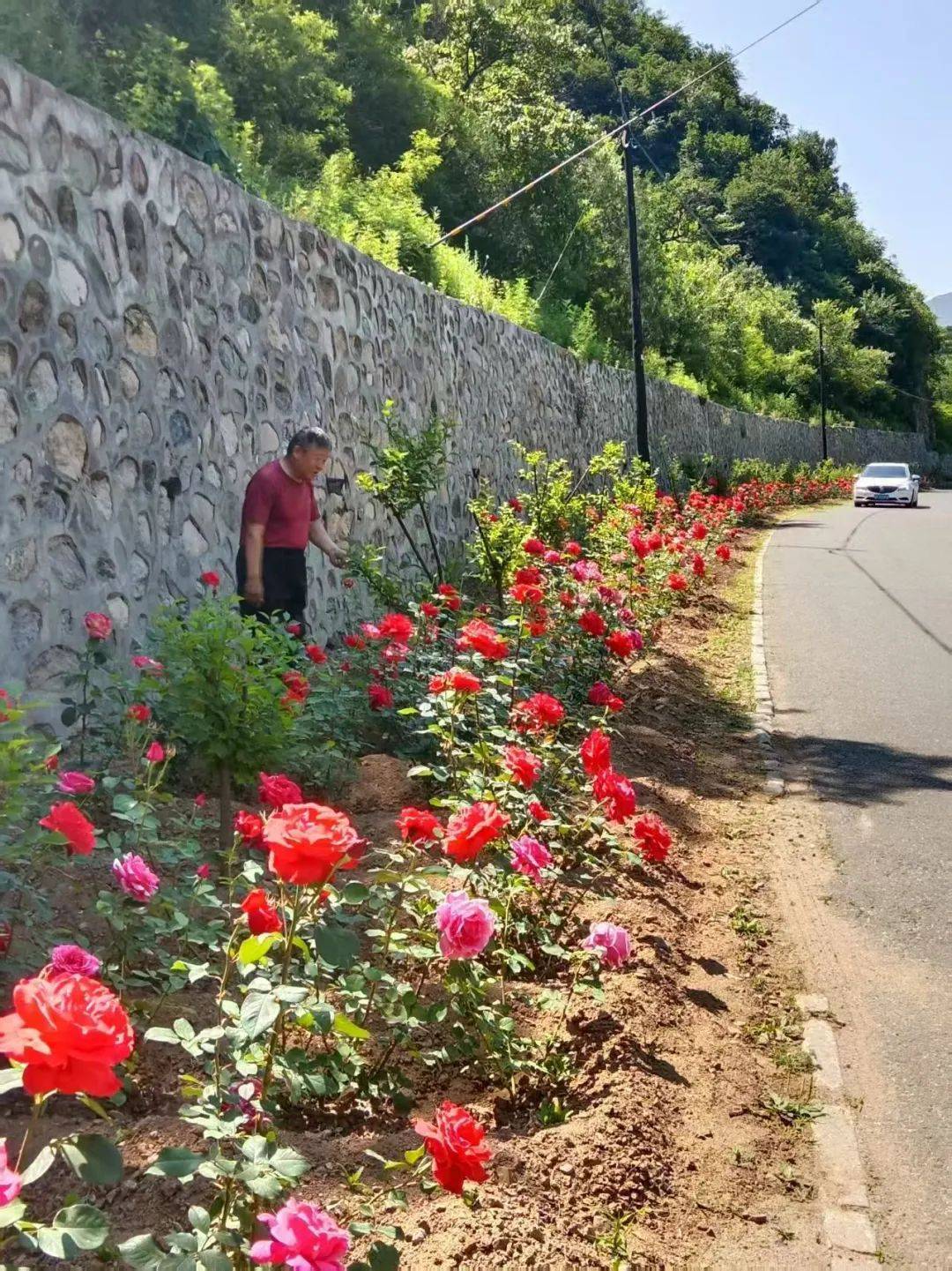 皇冠登1登2登3代理_被洪水冲走的怀柔村支书“二华”皇冠登1登2登3代理，发来的信息还存在村民的手机里