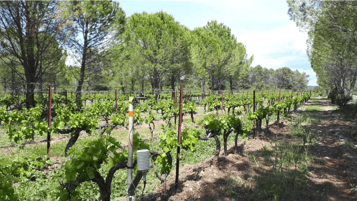 怎么申请皇冠信用网_金灿荣：欧洲太没出息了怎么申请皇冠信用网，出现了一帮“秦桧”