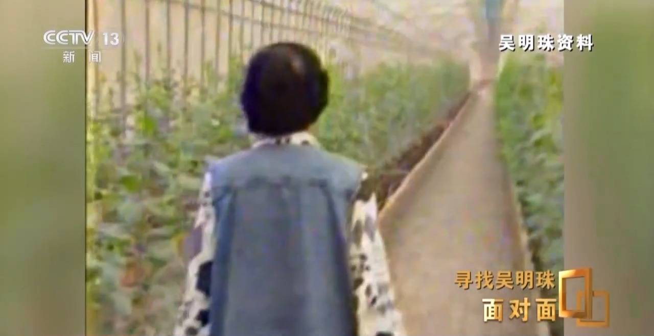 皇冠信用网怎么申请_面对面丨中国人的吃瓜自由要感谢她皇冠信用网怎么申请！吴明珠说她的一生就是结几个好瓜献给人民